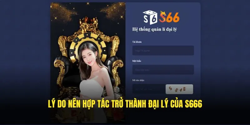 Lý do nên hợp tác trở thành đại lý của S666
