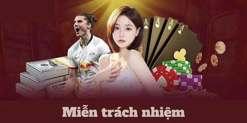 Nội dung của chính sách miễn trách nhiệm S666