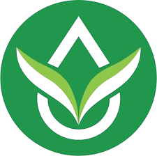 s666