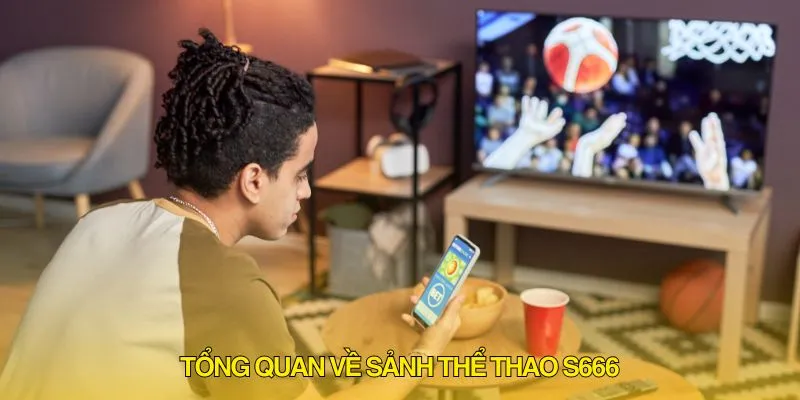 Tổng quan về sảnh thể thao S666